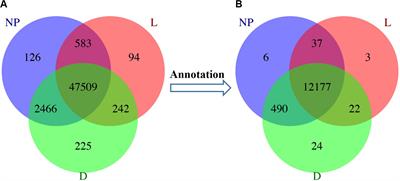 Comprehensive Transcriptome Profiling of Dairy Goat Mammary Gland Identifies Genes and Networks Crucial for Lactation and Fatty Acid Metabolism